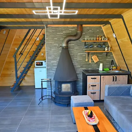 Gocki Raj 公寓 戈克